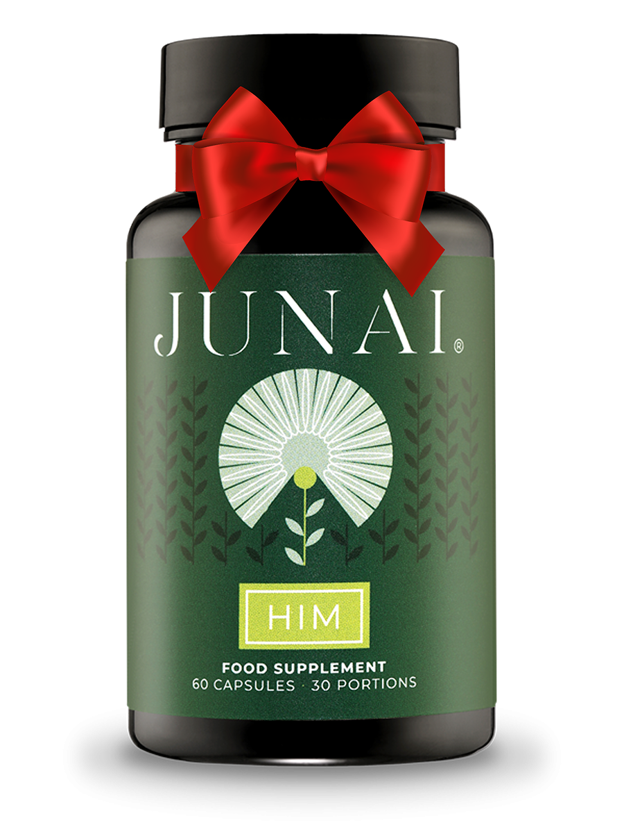 Junai HIM Christmas.png 1 1 1