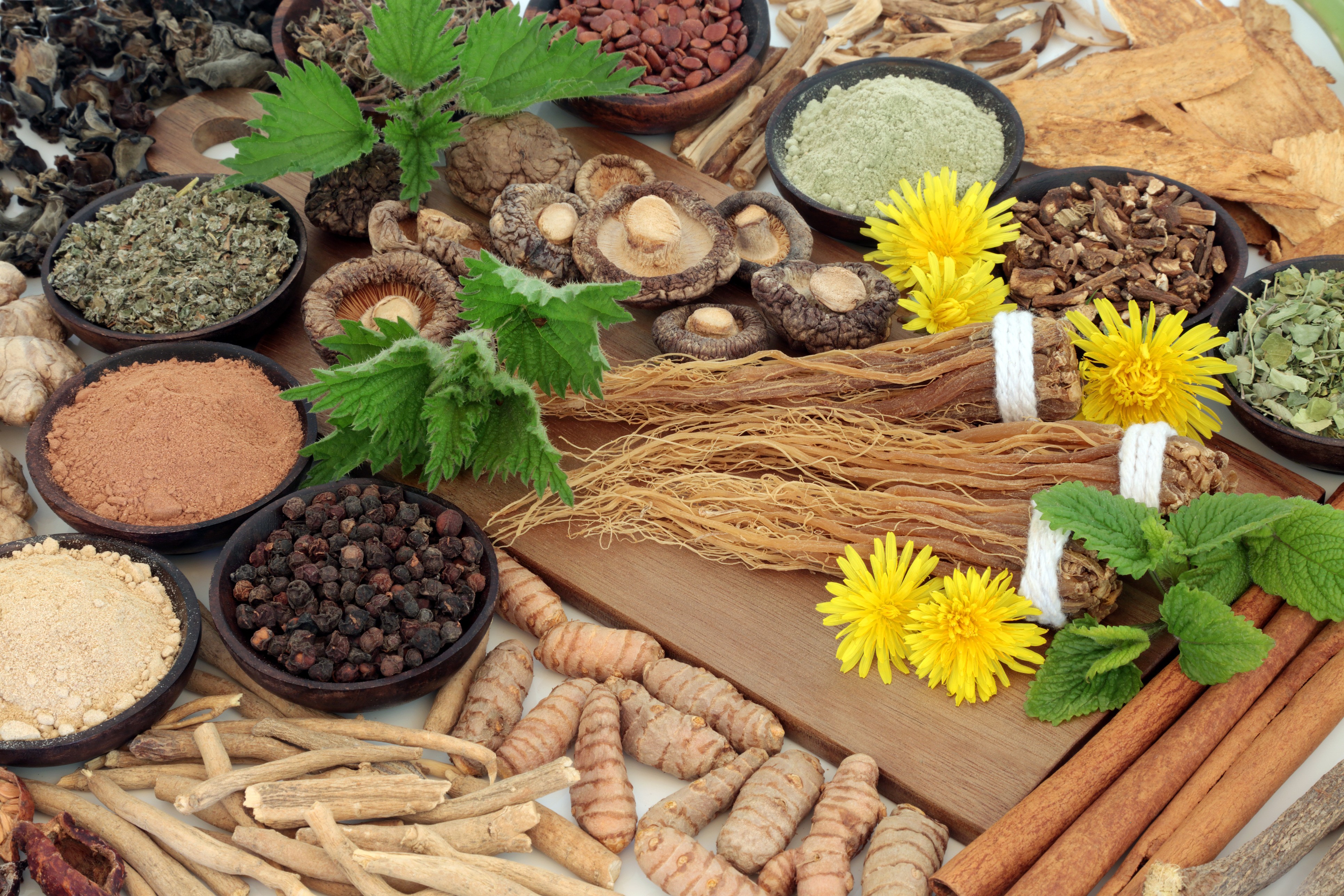 Adaptogens Explained: Breaking Down the Buzzword