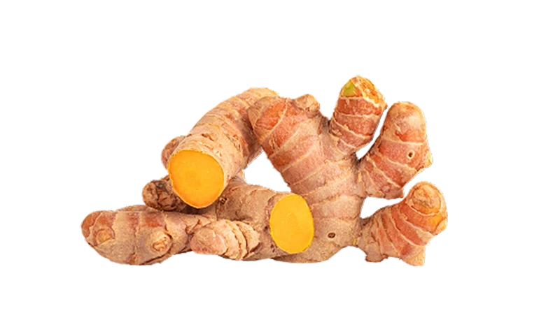 Curcuma