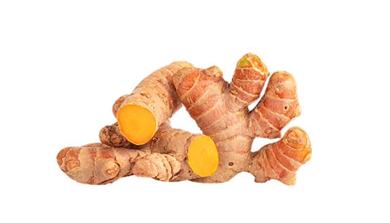Fresh turmeric roots with bright orange flesh