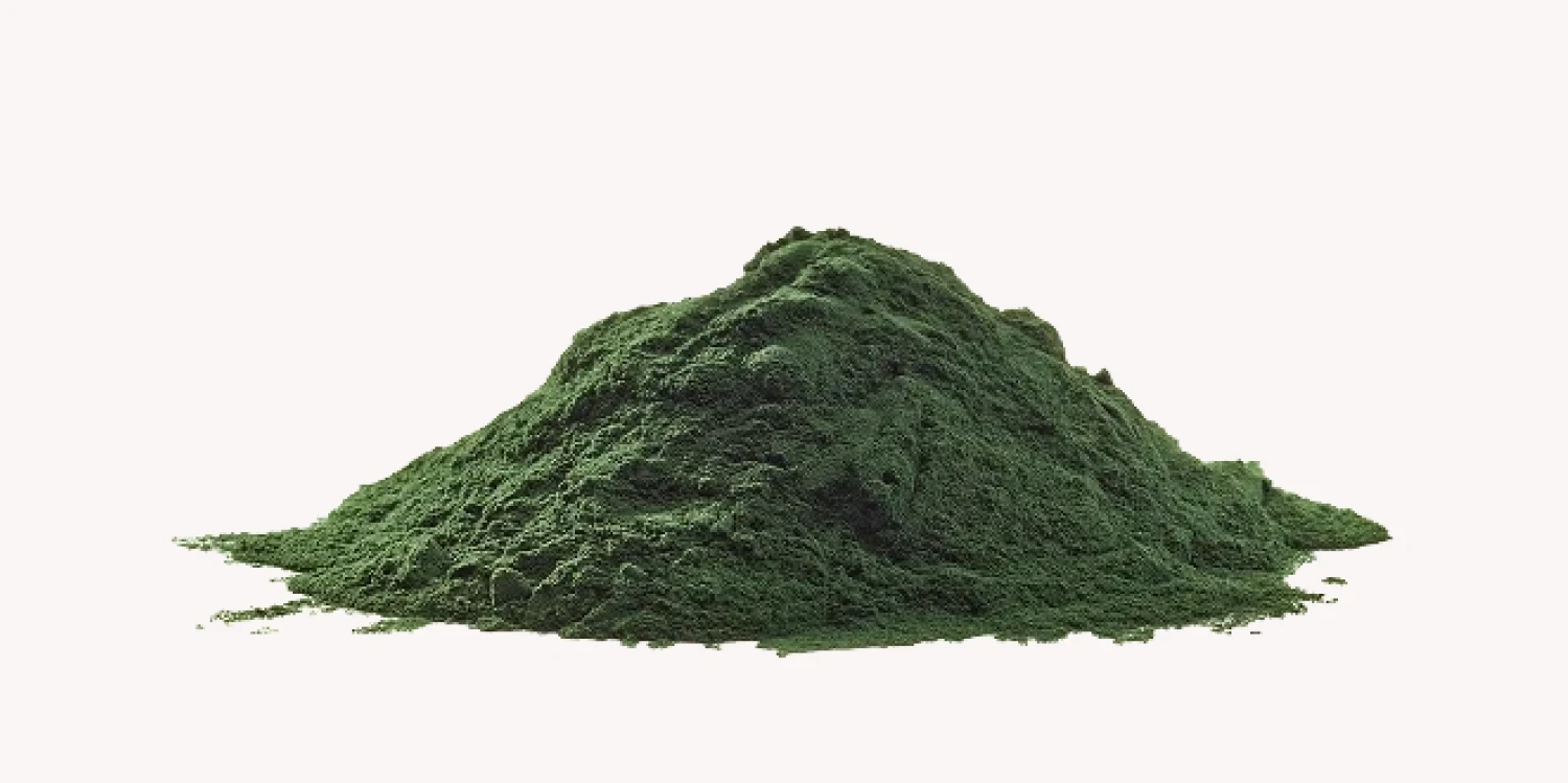 Junai blog Klorela cover 1