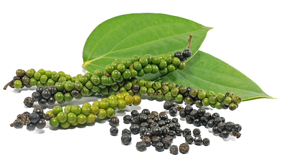 Green and black peppercorns with a leaf