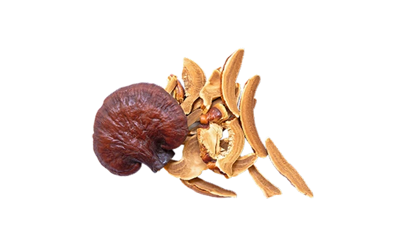Junai Organic Reishi pouch