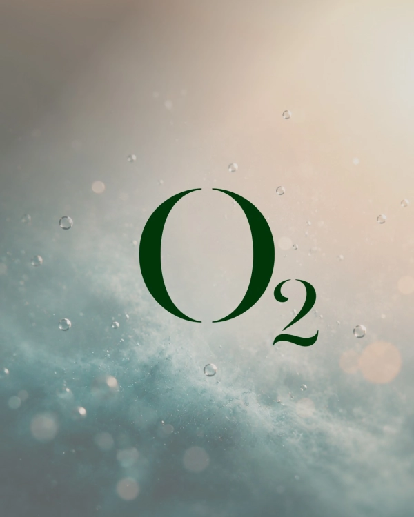 Instagram media